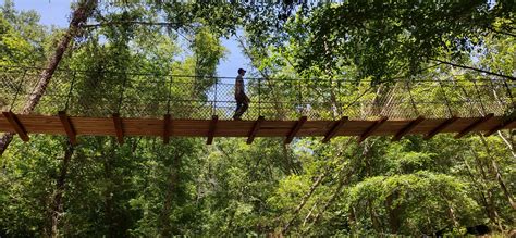 McGalliard Creek Bridge – Friends of the Valdese Rec