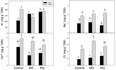The Salt-Stress Response of the Transgenic Plum Line J8-1 and Its ...