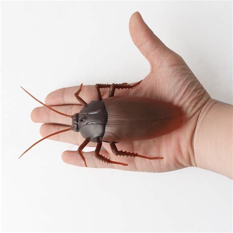 Remote Controlled Cockroach 的图像结果