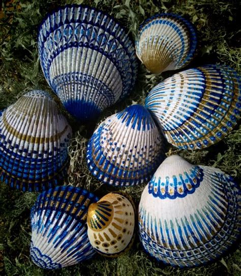 Image result for Painted Sea Shells
