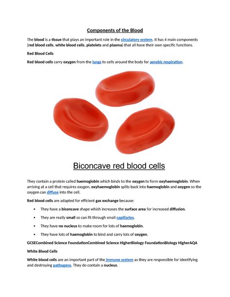 Components of the Blood - It has 4 main components (red blood cells, white blood cells ...