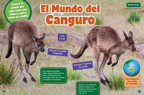Hop into Kangaroos - Spanish Translation - NWF | Ranger Rick