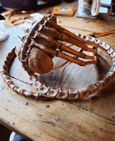 Woman's Protective "Alien" Facehugger Mask Goes Viral (12 Pics)