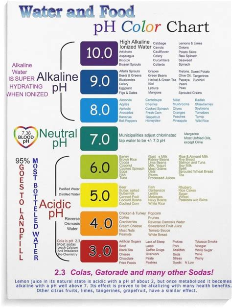 ZHJLUT Posters Water and Food Color Chart Poster PH Chart India | Ubuy