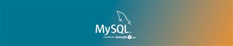 Image result for Entity Relationship Ke MySQL