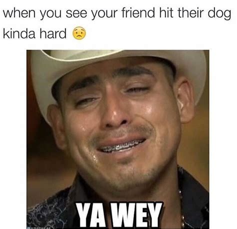 Ay wey ya parale 😭 pobre perro | Mexican memes, Funny spanish memes ...