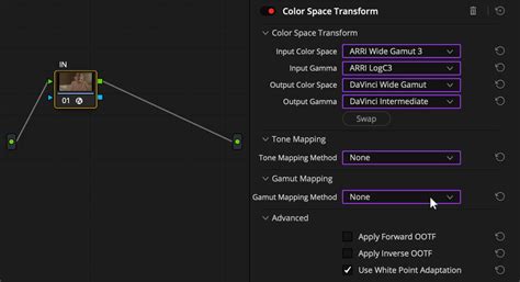Image result for DaVinci Resolve Color Node Chart