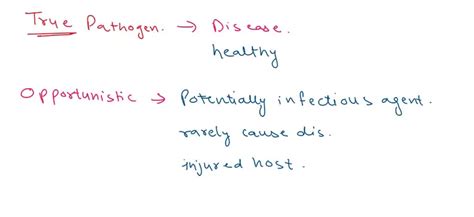Image result for Opportunistic Pathogen