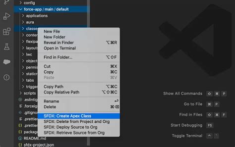 Image result for Trailhead Example Apex Class in vs Code