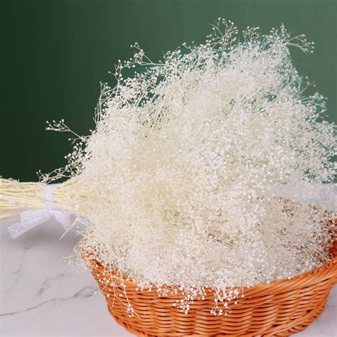 Amazon.com: Mini Ivory Dried Baby's Breath Flowers Bulk - 2500 ...