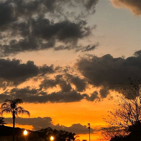 Image result for Graces World Homework