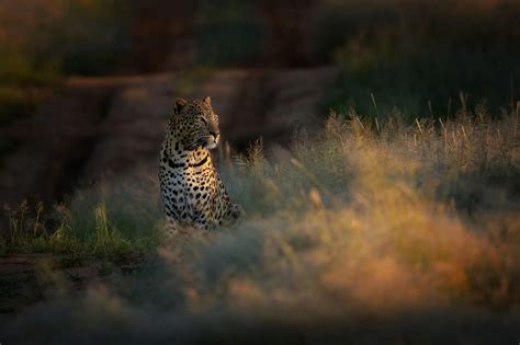 Amazing Views Adventure 的图像结果