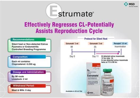 Estrumate 20 Ml Injection Exporter from Palakkad