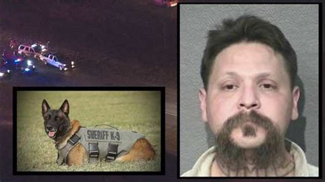 Jury finds man who killed BCSO K-9 Chucky guilty on all charges