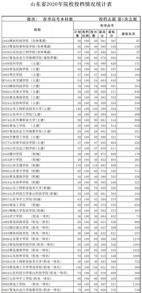 重庆2021年新高考志愿表（模拟填报用）_模板
