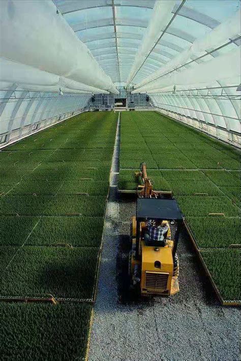 农业现代化 的图像结果