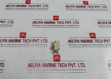 Cherry E33 Limit Micro Button Gate Switch 125-250Vac – Aeliya Marine