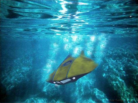 Image result for Yellow Flying Sub