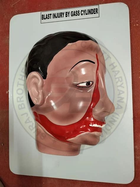 Image result for Forensic Science Model