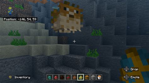 Image result for Puffer Fish Minecraft Use