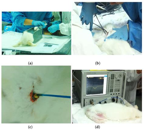 Design of a Novel Compact MICS Band PIFA Antenna for Implantable ...