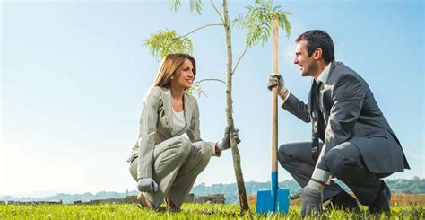 Tree Planting Benefits | Reduce Your Company's CO2 Emissions
