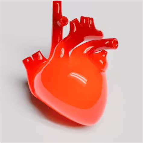 MSC Cardiac Care Technology Scope & Salary in India