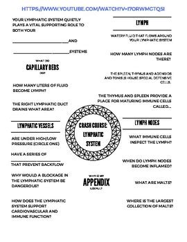 Image result for Crash Course Lymphatic System