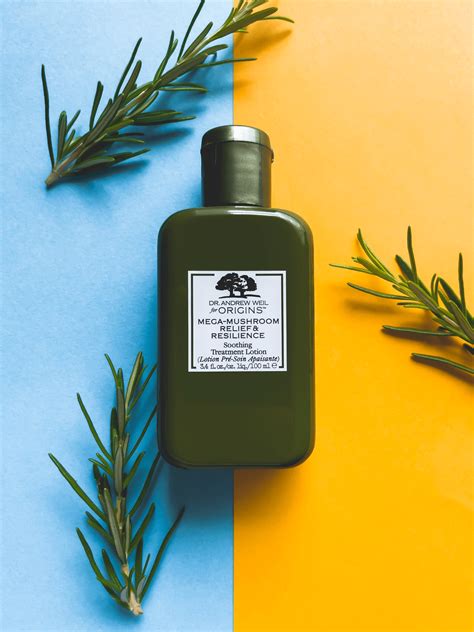 Photography 的图像结果