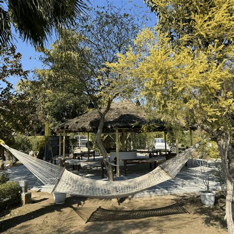 SHIVJOT FARMS & RESORT (Panchkula, Chandigarh) - Resort Reviews, Photos ...