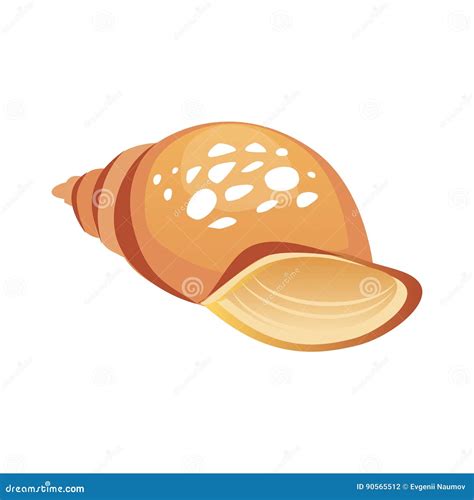 Brown Sea Spiral Seashell, an Empty Shell of a Sea Mollusk. Colorful ...