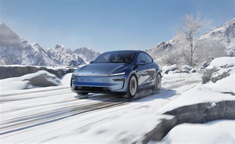 Tesla Front Camera View 的图像结果