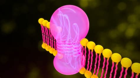 Rhodopsin Visual Purple 3D Model - TurboSquid 2187558