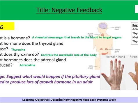 Image result for Negative Feedback Visual Aids