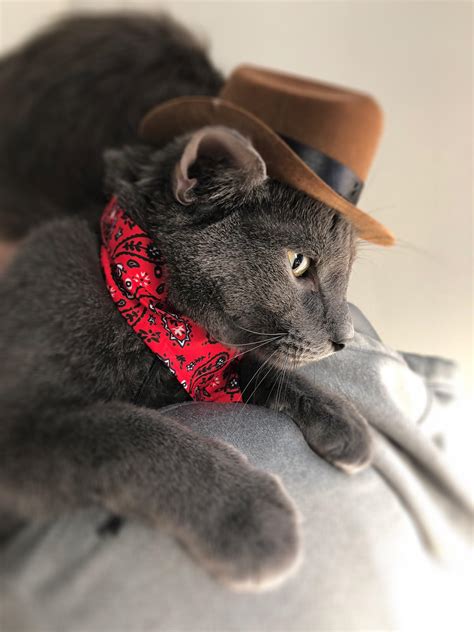 Its high noon : r/Overwatch_Memes