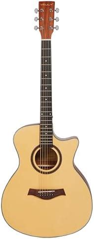 Vault EA20 Guitar Kit with Learn to Play Ebook, Bag, Strings, Straps ...