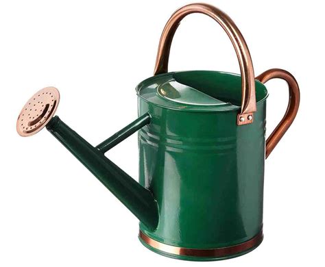 7 Best Watering Cans for Indoors and Outdoors 2021 - Gardening Channel