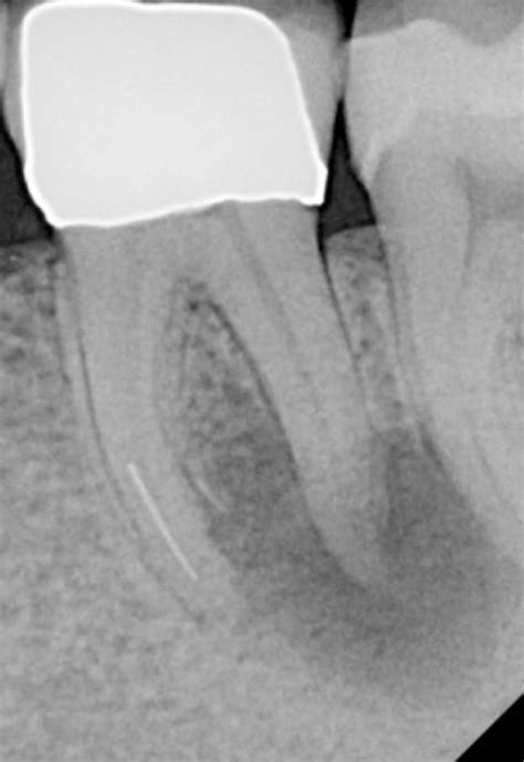 Quintessence Publishing Deutschland | Quintessenz Verlags-GmbH