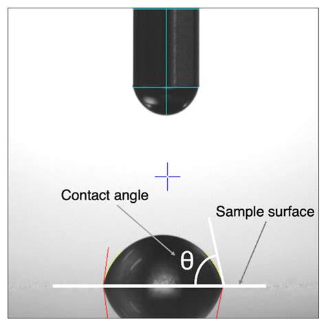 Relationship between the Surface Roughness of Material and Bone Cement ...
