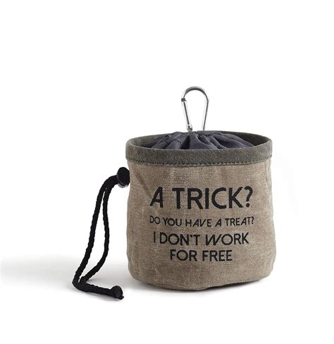Buy Mona B Canvas Portable Bag Trick For Pets (Trick for Treats, Dark ...