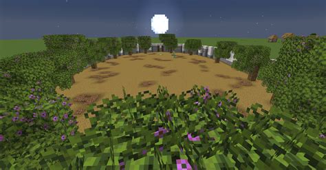 Image result for 1.18 PvP Practice Server Java