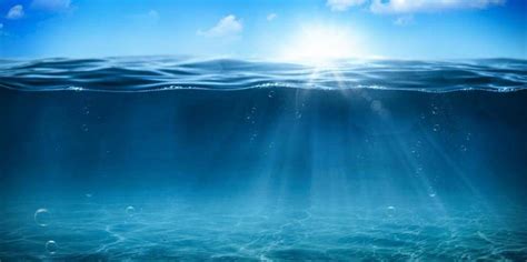 当你潜入一万米深处的海底能看见什么？喝一口那的海水会怎么样？_腾讯新闻