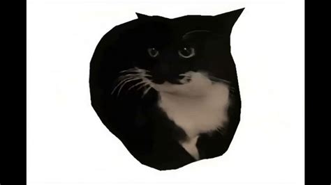 Image result for Project Classification Guide