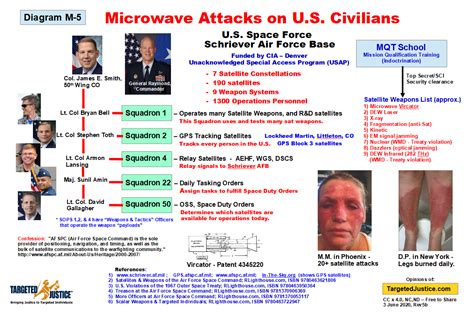 Targeted Individual Program 的图像结果