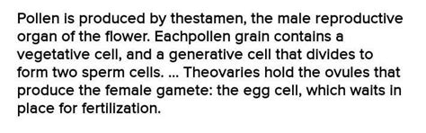 mention any two outbreeding devices in angiosperm to prevent self ...