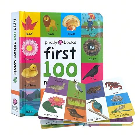 Lachilly Primeros 100 Acolchados: Libro de imágenes de palabras de la ...