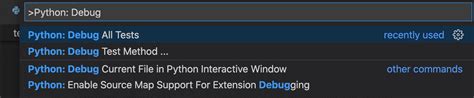 Image result for Visual Studio Code Debug Python