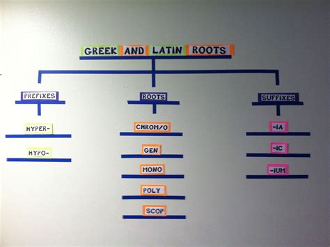 Poly Root Word Color