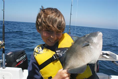 Image result for Catching Triggerfish