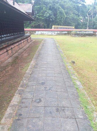 Vadakara Pictures - Traveller Photos of Vadakara, Kozhikode District ...
